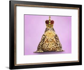 Common Toad 'Frog Prince' Wearing Crown-null-Framed Photographic Print