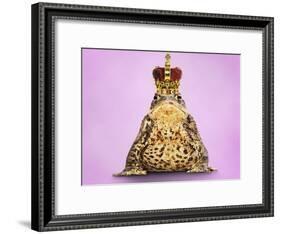 Common Toad 'Frog Prince' Wearing Crown-null-Framed Photographic Print