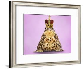 Common Toad 'Frog Prince' Wearing Crown-null-Framed Photographic Print