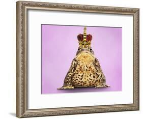 Common Toad 'Frog Prince' Wearing Crown-null-Framed Photographic Print