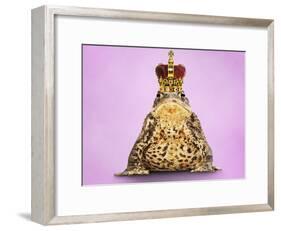 Common Toad 'Frog Prince' Wearing Crown-null-Framed Photographic Print