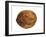 Common Walnut, Native to Southern Europe and Asia-Philippe Clement-Framed Photographic Print