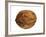 Common Walnut, Native to Southern Europe and Asia-Philippe Clement-Framed Photographic Print