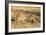 Common warthog (Phacochoerus africanus), Kruger National Park, South Africa, Africa-Christian Kober-Framed Photographic Print