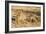 Common warthog (Phacochoerus africanus), Kruger National Park, South Africa, Africa-Christian Kober-Framed Photographic Print