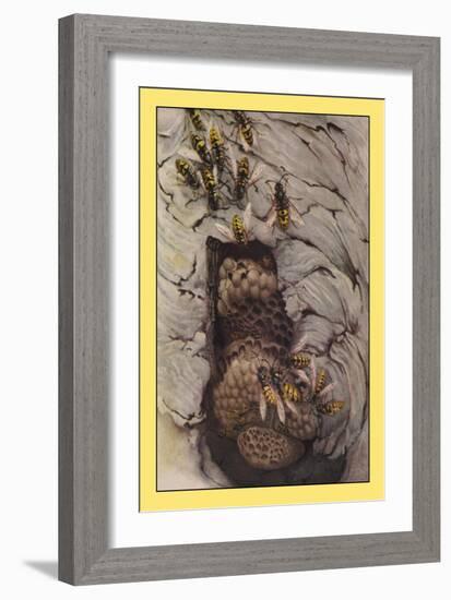 Common Wasps-Edward Detmold-Framed Art Print