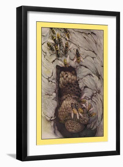 Common Wasps-Edward Detmold-Framed Art Print