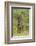 Common Waterbuck Grazing-Joe McDonald-Framed Photographic Print