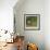 Common Waterbuck Portrait-Joe McDonald-Framed Photographic Print displayed on a wall