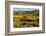 Common Wombat, Cradle Mountain-Lake St. Clair National Park, Tasmania-Mark A Johnson-Framed Photographic Print