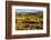 Common Wombat, Cradle Mountain-Lake St. Clair National Park, Tasmania-Mark A Johnson-Framed Photographic Print