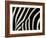 Common Zebra Close-Up Showing Stripes, Tanzania-Edwin Giesbers-Framed Photographic Print