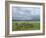 Common Zebra Group, Ngorongoro Crater, Tanzania-Edwin Giesbers-Framed Photographic Print