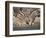 Common Zebra Wading at Waterhole Etosha Np, Namibia, 2006-Tony Heald-Framed Photographic Print