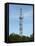 Communication Mast-Adrian Bicker-Framed Premier Image Canvas