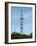 Communication Mast-Adrian Bicker-Framed Photographic Print