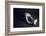 Communication-Nir Amos-Framed Photographic Print