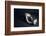 Communication-Nir Amos-Framed Photographic Print