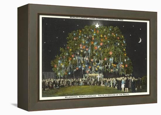 Community Christmas Tree, Wilmington, North Carolina-null-Framed Stretched Canvas