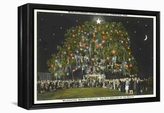 Community Christmas Tree, Wilmington, North Carolina-null-Framed Stretched Canvas