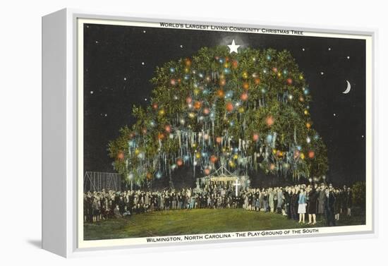 Community Christmas Tree, Wilmington, North Carolina-null-Framed Stretched Canvas