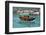 Community of Live-Aboard Boat People, Lei Yu Mai, Hong Kong-Richard Wright-Framed Photographic Print