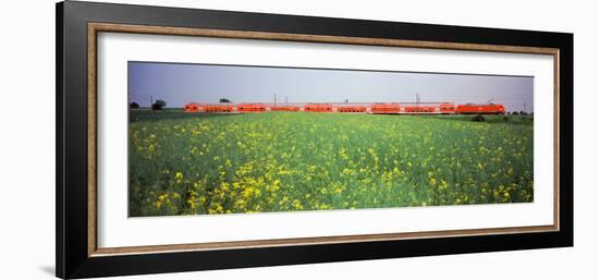 Commuter Train Passing Through Oilseed Rape Fields, Baden-Wurttemberg, Germany-null-Framed Photographic Print