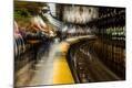 Photographic Print