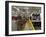 Commuters Moving Through Shibuya Station During Rush Hour, Shibuya District, Tokyo, Japan, Asia-Gavin Hellier-Framed Photographic Print