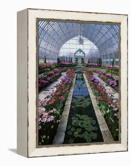 Como Park Conservatory, St. Paul, Minnesota, USA-null-Framed Premier Image Canvas