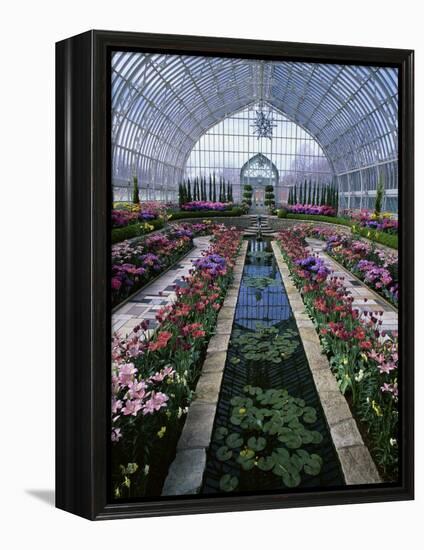 Como Park Conservatory, St. Paul, Minnesota, USA-null-Framed Premier Image Canvas