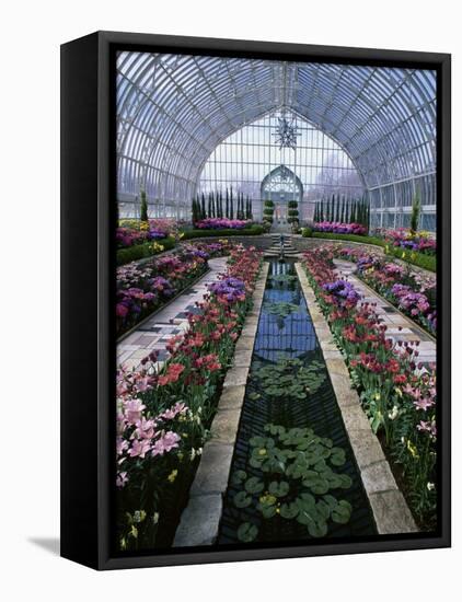 Como Park Conservatory, St. Paul, Minnesota, USA-null-Framed Premier Image Canvas