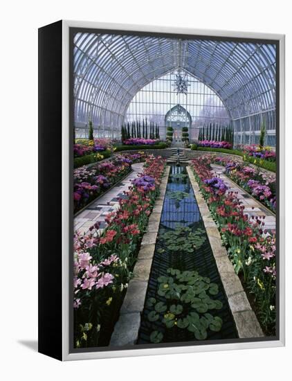 Como Park Conservatory, St. Paul, Minnesota, USA-null-Framed Premier Image Canvas