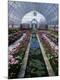 Premium Photographic Print