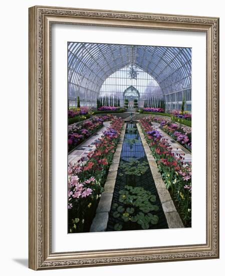 Como Park Conservatory, St. Paul, Minnesota, USA-null-Framed Photographic Print