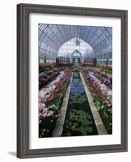 Como Park Conservatory, St. Paul, Minnesota, USA-null-Framed Photographic Print