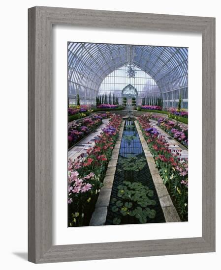 Como Park Conservatory, St. Paul, Minnesota, USA-null-Framed Photographic Print