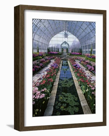 Como Park Conservatory, St. Paul, Minnesota, USA-null-Framed Photographic Print