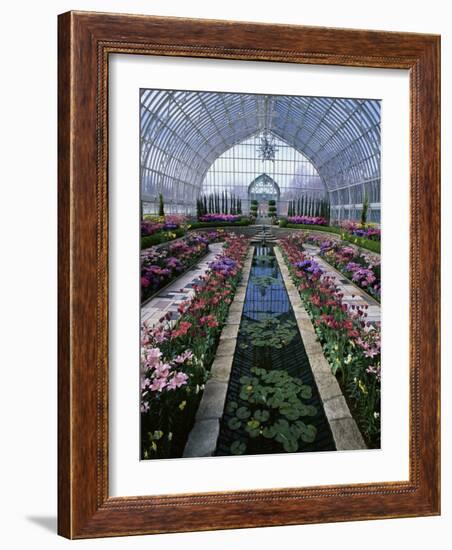 Como Park Conservatory, St. Paul, Minnesota, USA-null-Framed Photographic Print