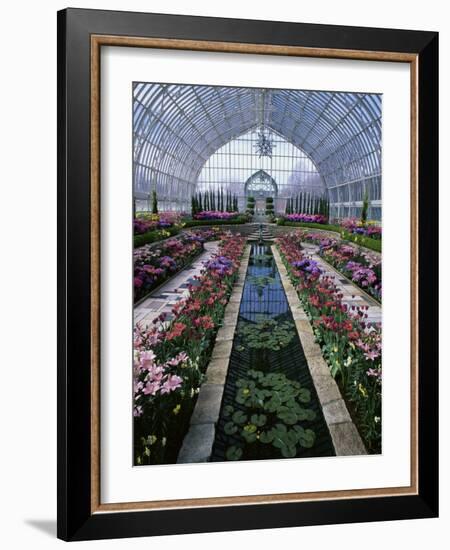 Como Park Conservatory, St. Paul, Minnesota, USA-null-Framed Photographic Print