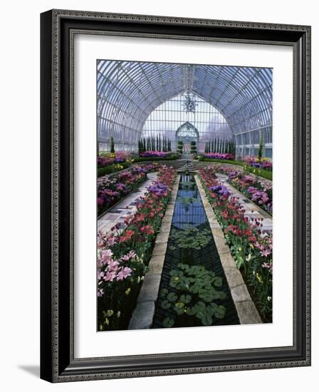 Como Park Conservatory, St. Paul, Minnesota, USA-null-Framed Photographic Print