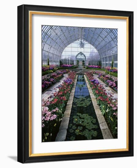 Como Park Conservatory, St. Paul, Minnesota, USA-null-Framed Photographic Print