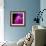 Compact Disc-Tek Image-Framed Premium Photographic Print displayed on a wall