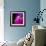 Compact Disc-Tek Image-Framed Premium Photographic Print displayed on a wall