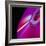 Compact Disc-Tek Image-Framed Premium Photographic Print