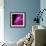 Compact Disc-Tek Image-Framed Premium Photographic Print displayed on a wall