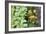 Companion Planting-Bob Gibbons-Framed Photographic Print