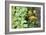 Companion Planting-Bob Gibbons-Framed Photographic Print