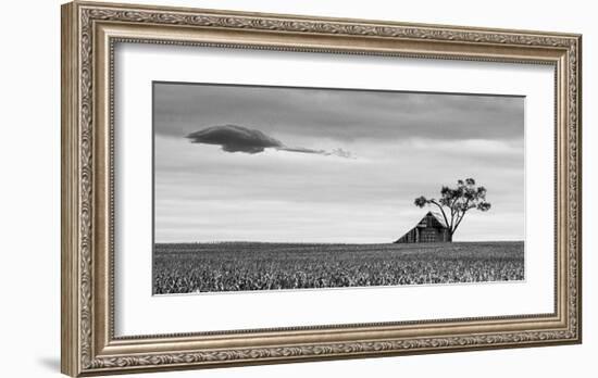 Companions-Trent Foltz-Framed Art Print