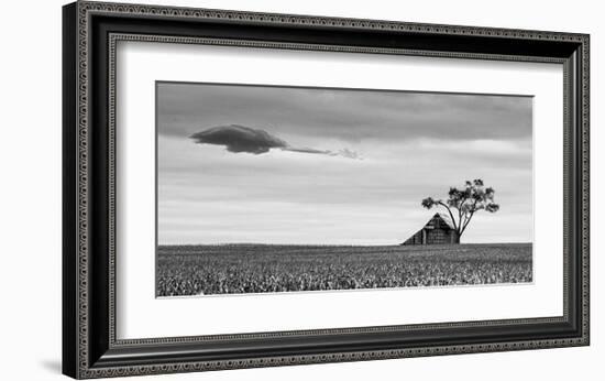 Companions-Trent Foltz-Framed Art Print